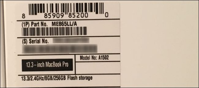 Serial number for macromedia flash 8